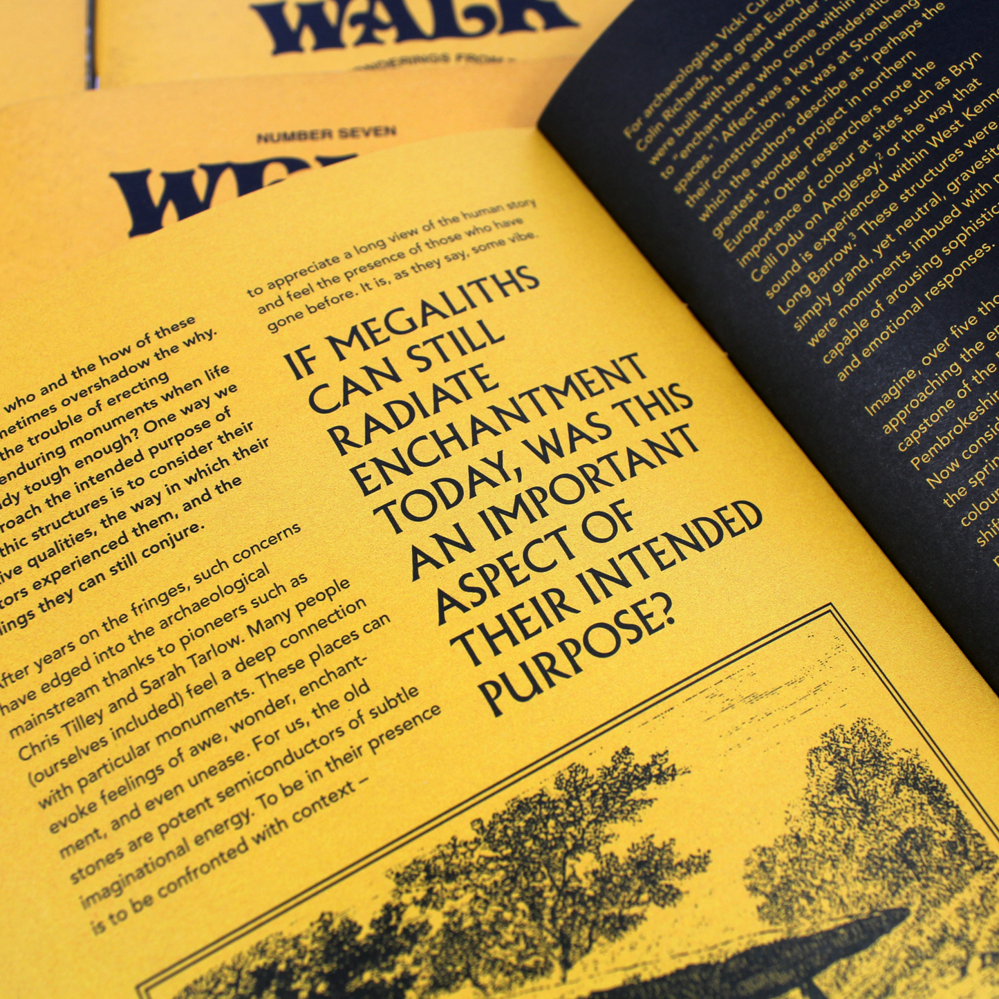 WEIRD WALK Zine Issue Seven [WHOLESALE]