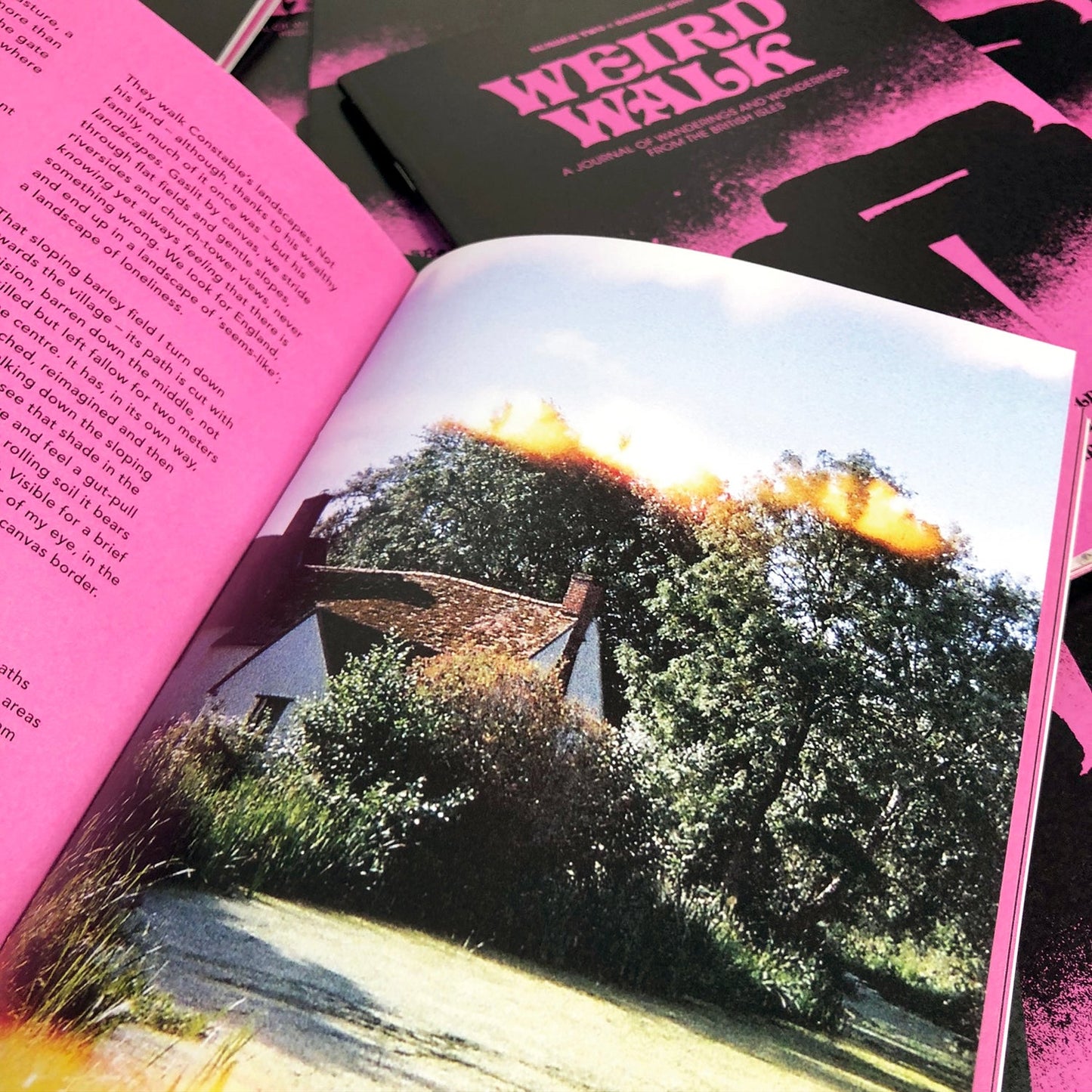 WEIRD WALK Zine Issue Two [WHOLESALE]