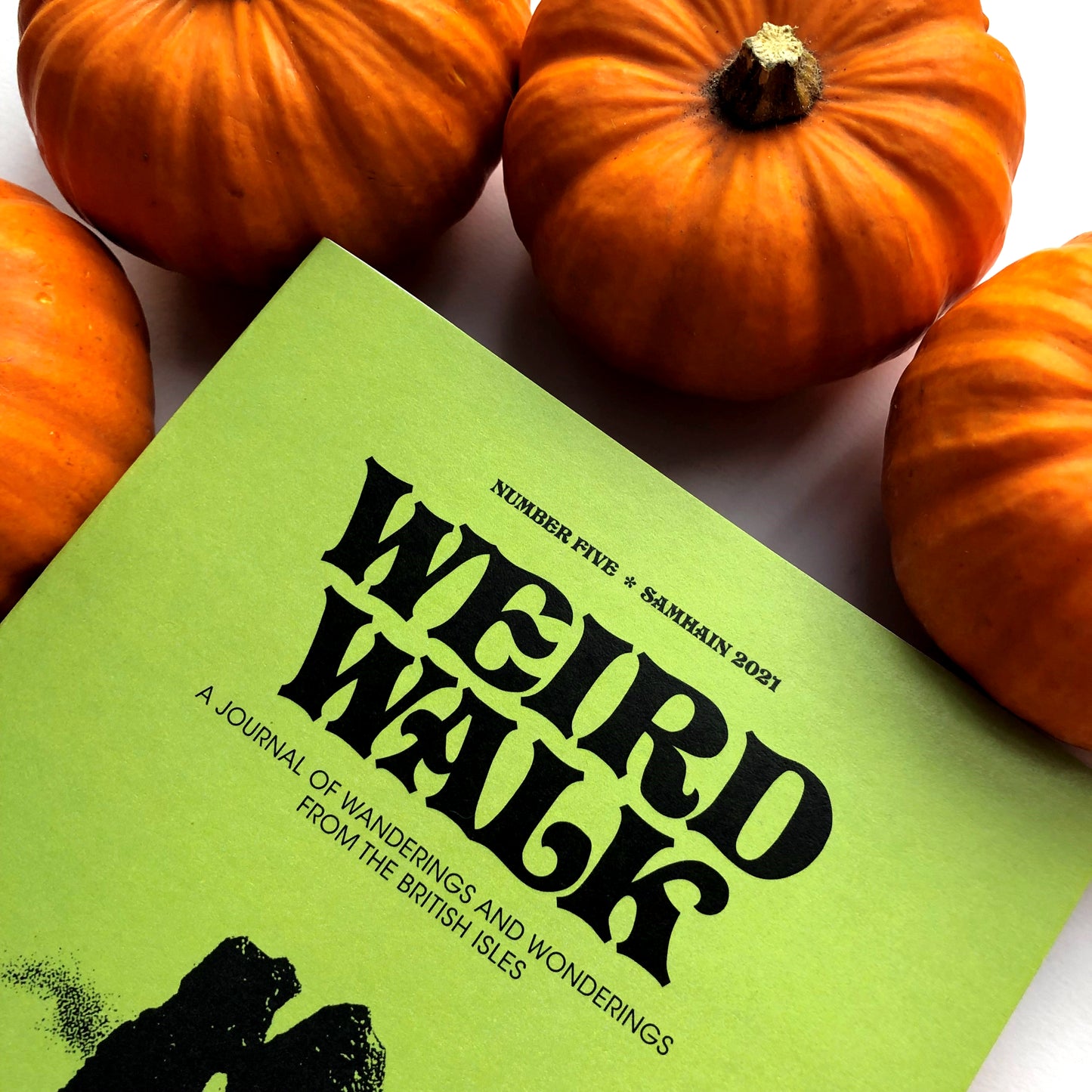WEIRD WALK Zine Issue Five [WHOLESALE]